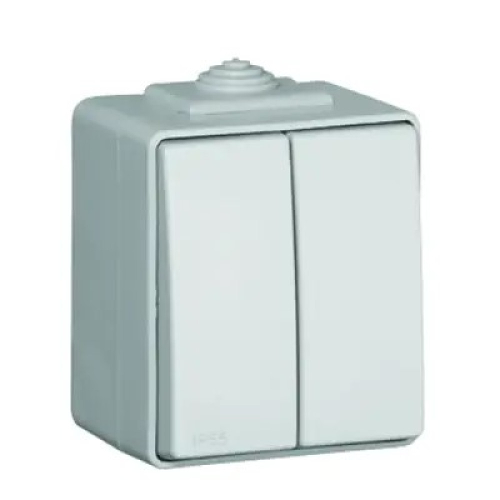 Выключатель двохклавишный герметичный накладной IP65 Efapel Waterproof Серый (48061 CCZ)